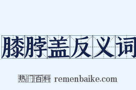 膝脖盖反义词是什么意思的图片